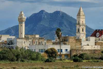 Da faccia a pesce, da falso a basta: ecco perch� in Tunisia si usano delle parole italiane
